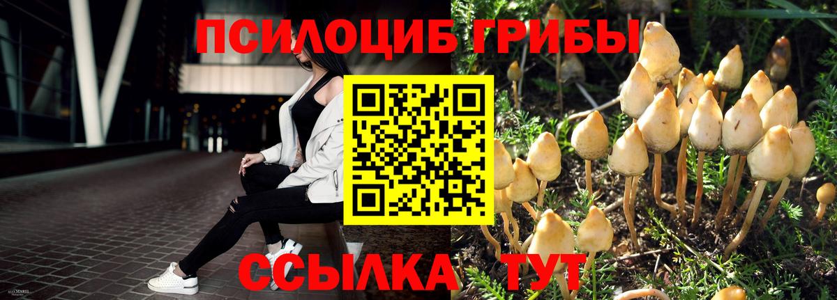 Псилоцибиновые грибы прущие грибы  Псилоцибиновые грибы Psilocybine cubensis  Вход с VPN  Коломна 