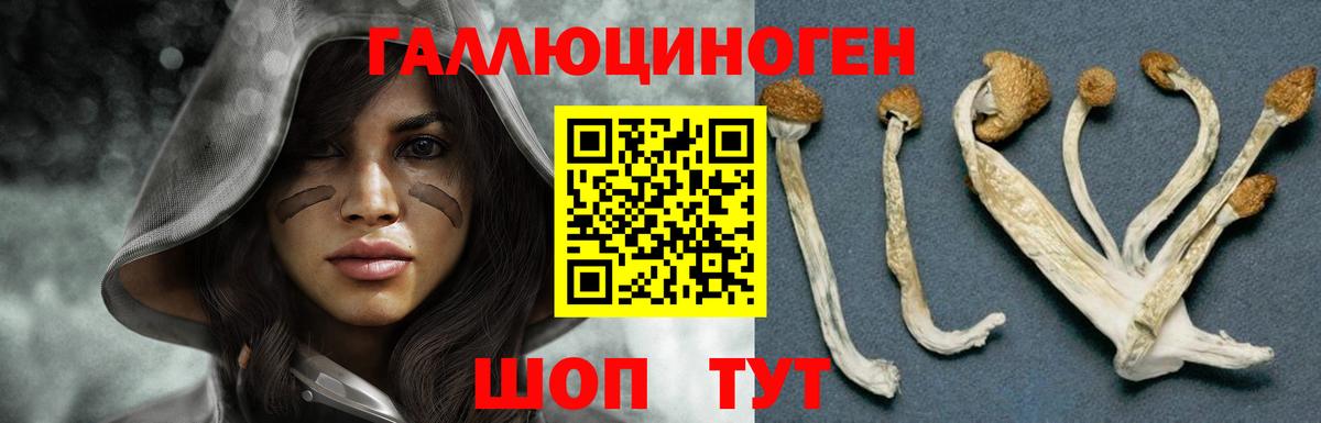Псилоцибиновые грибы прущие грибы Коломна